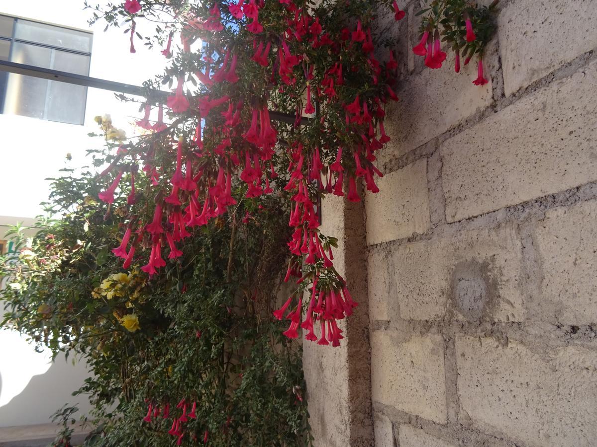 Hospedaje Encanto De Chinchero Chincheros  Εξωτερικό φωτογραφία